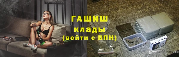 индика Алзамай