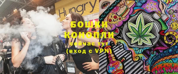 индика Алзамай