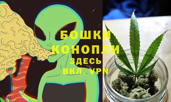 индика Алзамай