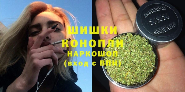 индика Алзамай