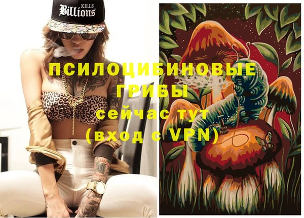 индика Алзамай
