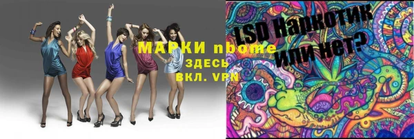 индика Алзамай