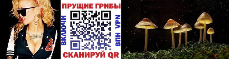 omg   что такое наркотик  Кола  Псилоцибиновые грибы Magic Shrooms 